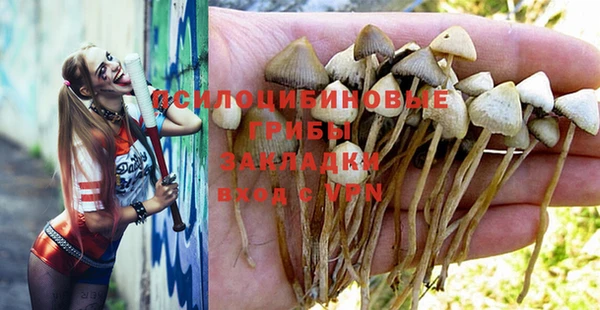 MESCALINE Абаза