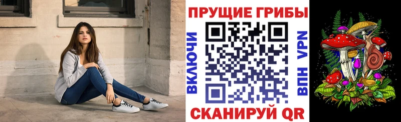 Псилоцибиновые грибы мицелий  что такое   Тюмень 